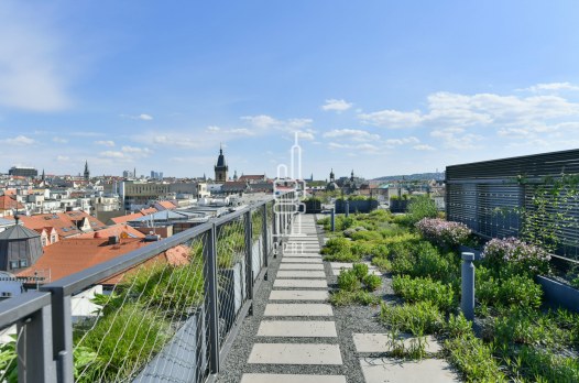 1128_7793187660.jpg