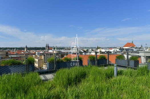 1128_7793291441.jpg