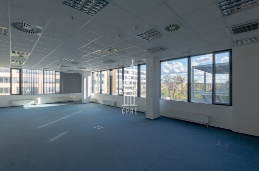 2288_7888361743.jpg